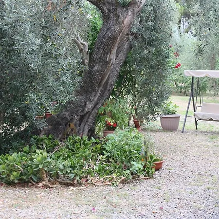 Casa L Antico Ulivo Apartment Iglesias
