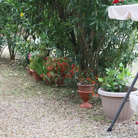 Casa L Antico Ulivo *