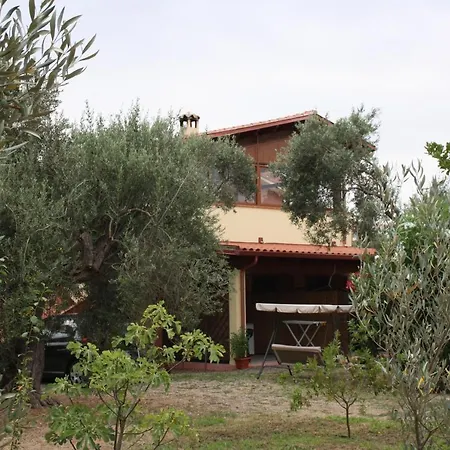 Casa L Antico Ulivo * Iglesias